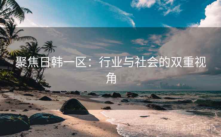 聚焦日韩一区：行业与社会的双重视角