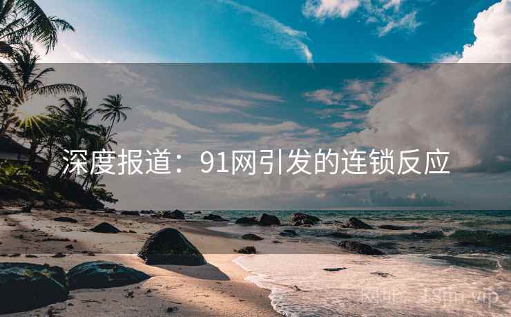 深度报道：91网引发的连锁反应