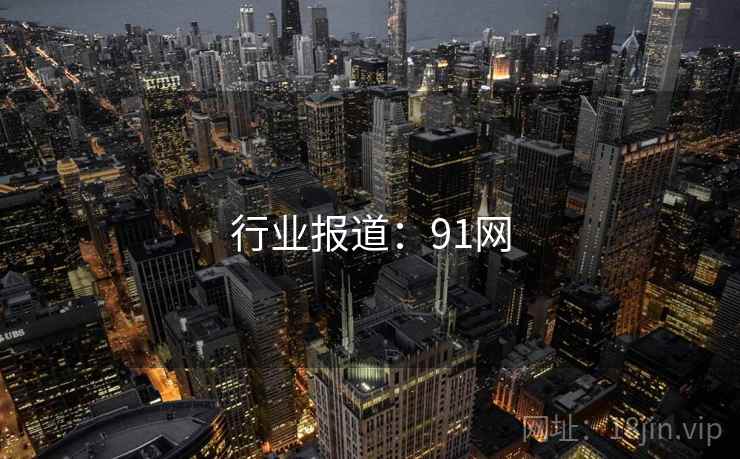 行业报道：91网
