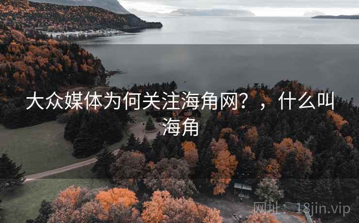 大众媒体为何关注海角网？，什么叫海角