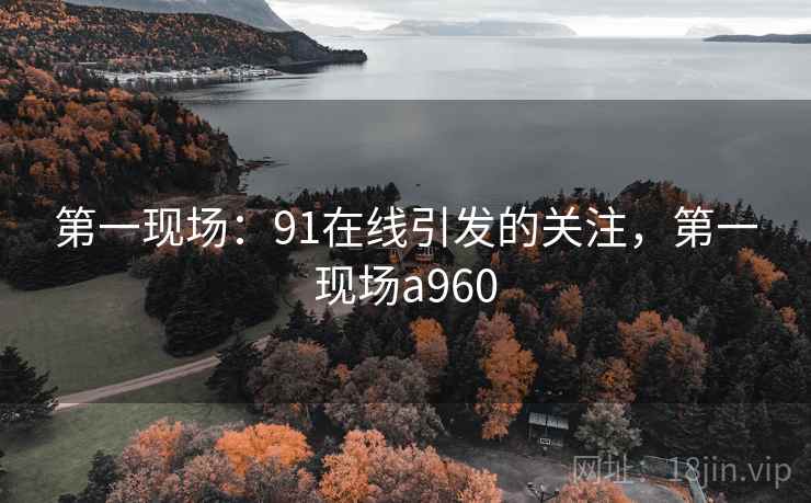 第一现场：91在线引发的关注，第一现场a960