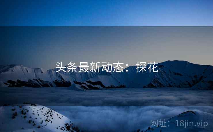 头条最新动态：探花
