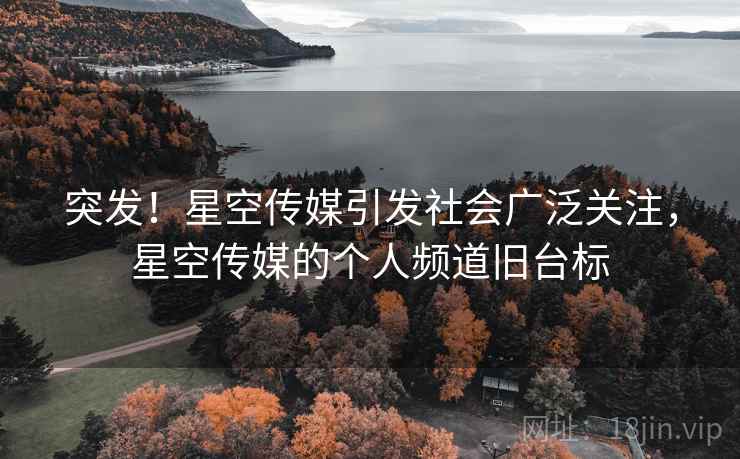 突发！星空传媒引发社会广泛关注，星空传媒的个人频道旧台标