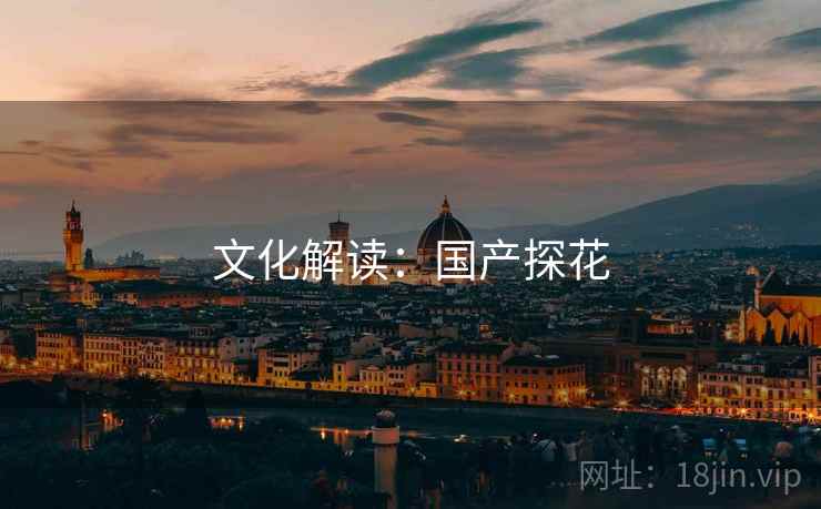 文化解读：国产探花