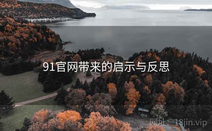 91官网带来的启示与反思