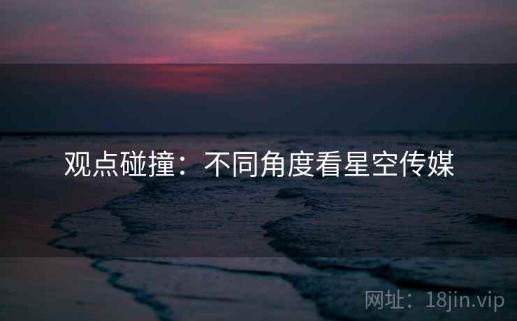 观点碰撞：不同角度看星空传媒