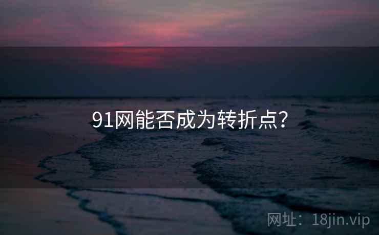 91网能否成为转折点? 91网能否成为转折点?