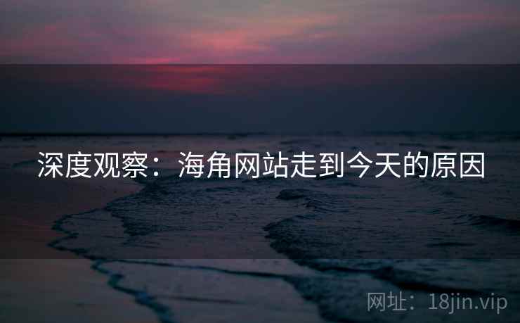 深度观察：海角网站走到今天的原因